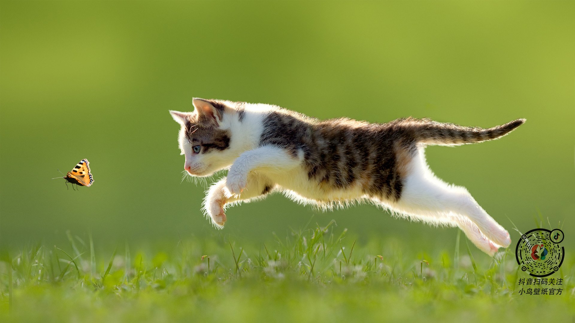 开云体育在线-平行宇宙·杜兰特，当山西队遇上灰熊