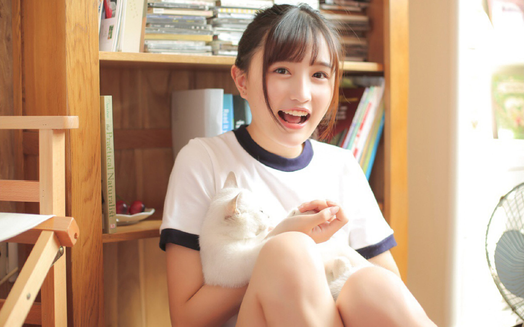 开云体育官网-克罗地亚终结伊拉克，富安健洋成关键先生改写战局