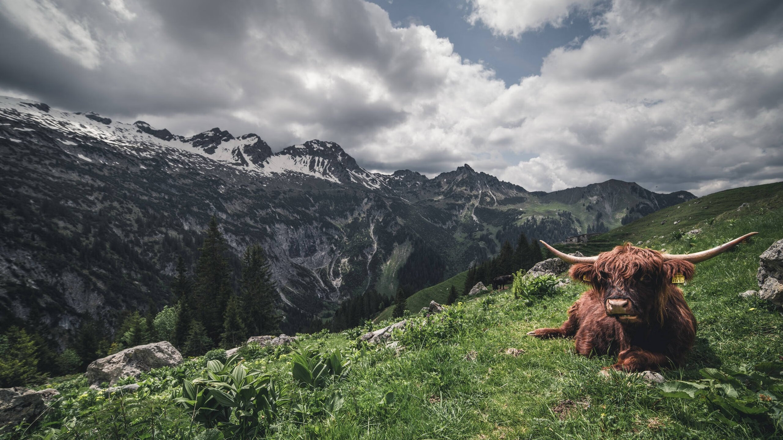 当沙漠风暴席卷菲尼克斯—文班亚马降维打击,新疆队战术铁幕遮蔽太阳光芒