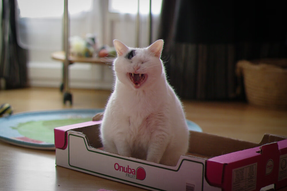 开云sport-风驰电掣与绿茵绝杀，当F1争冠风云际会尤文加时神话