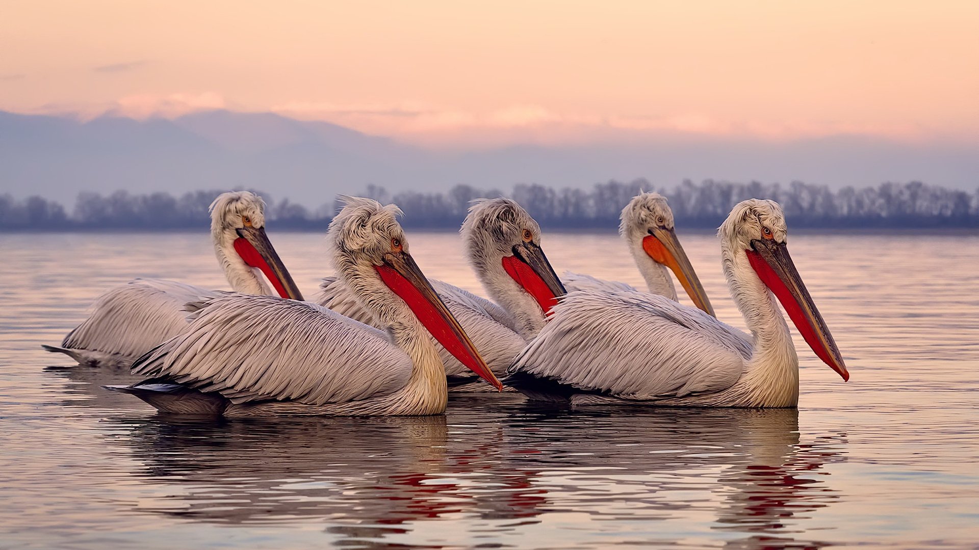 冰冷数据之火,当凯恩的射门钉穿曼城狂欢夜
