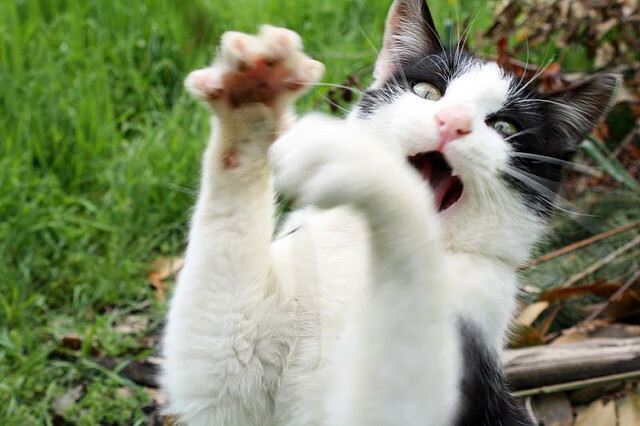 开云体育app-暗流涌动的战场，英超争冠夜，楚阿梅尼的无声杀伤