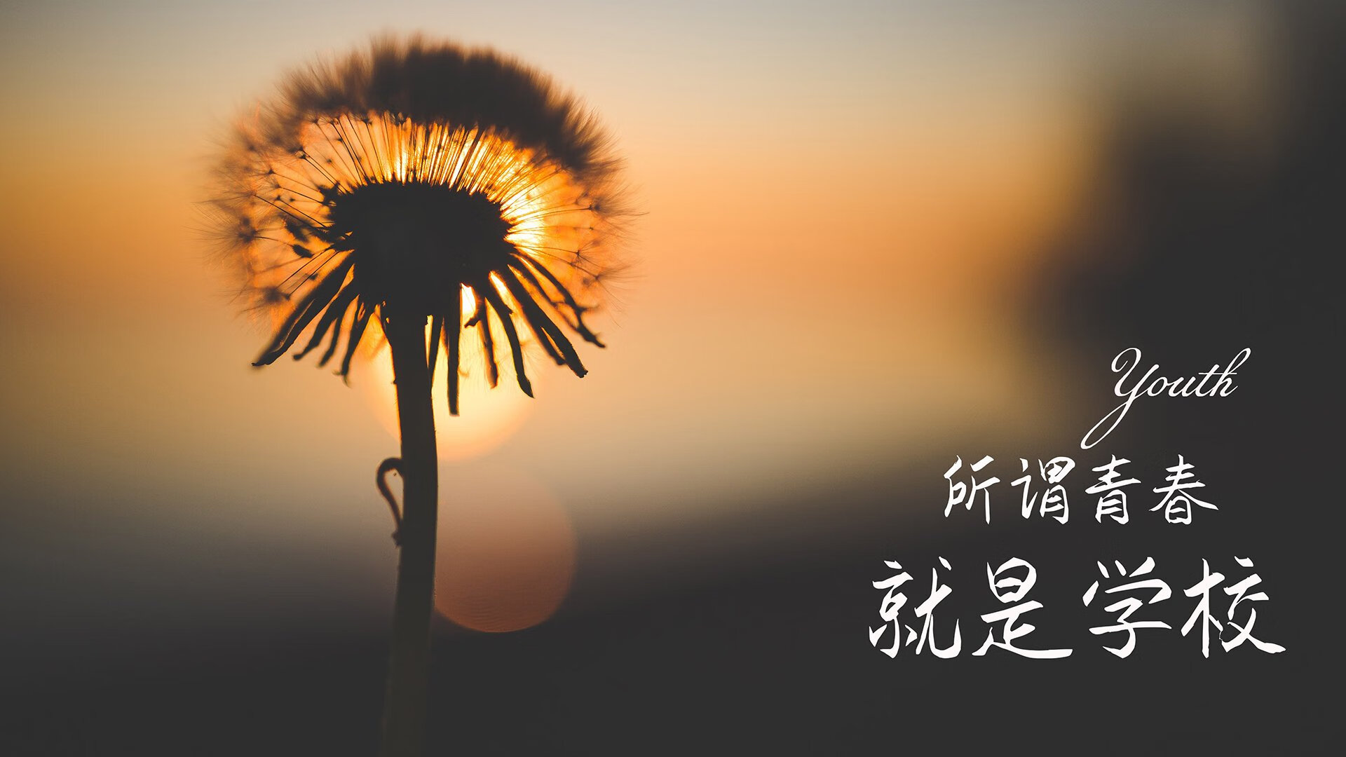 开云体育官网-跨时空对位，节奏的掌控艺术，定义唯一性瞬间