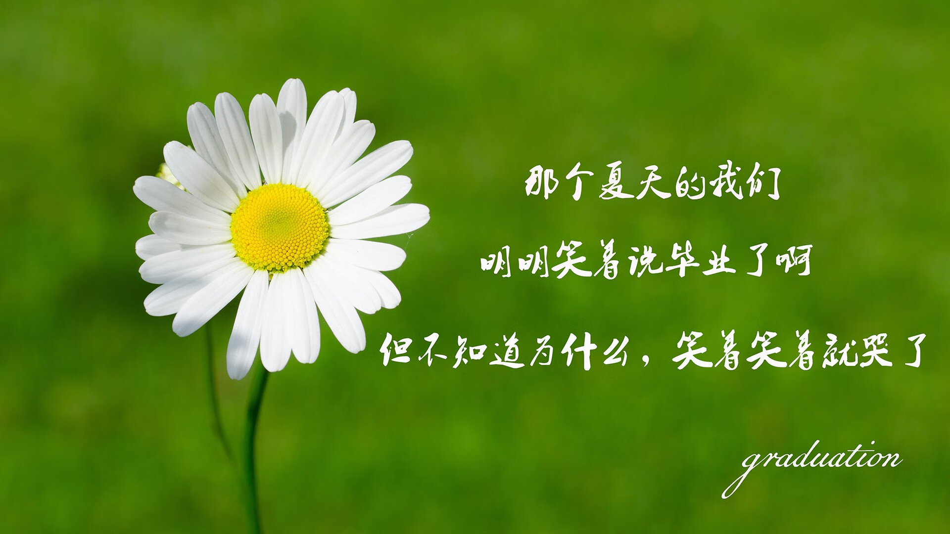 开云体育官网-米切尔燃爆赛场！黄蜂蛰伤山西，淘汰赛惊险过关