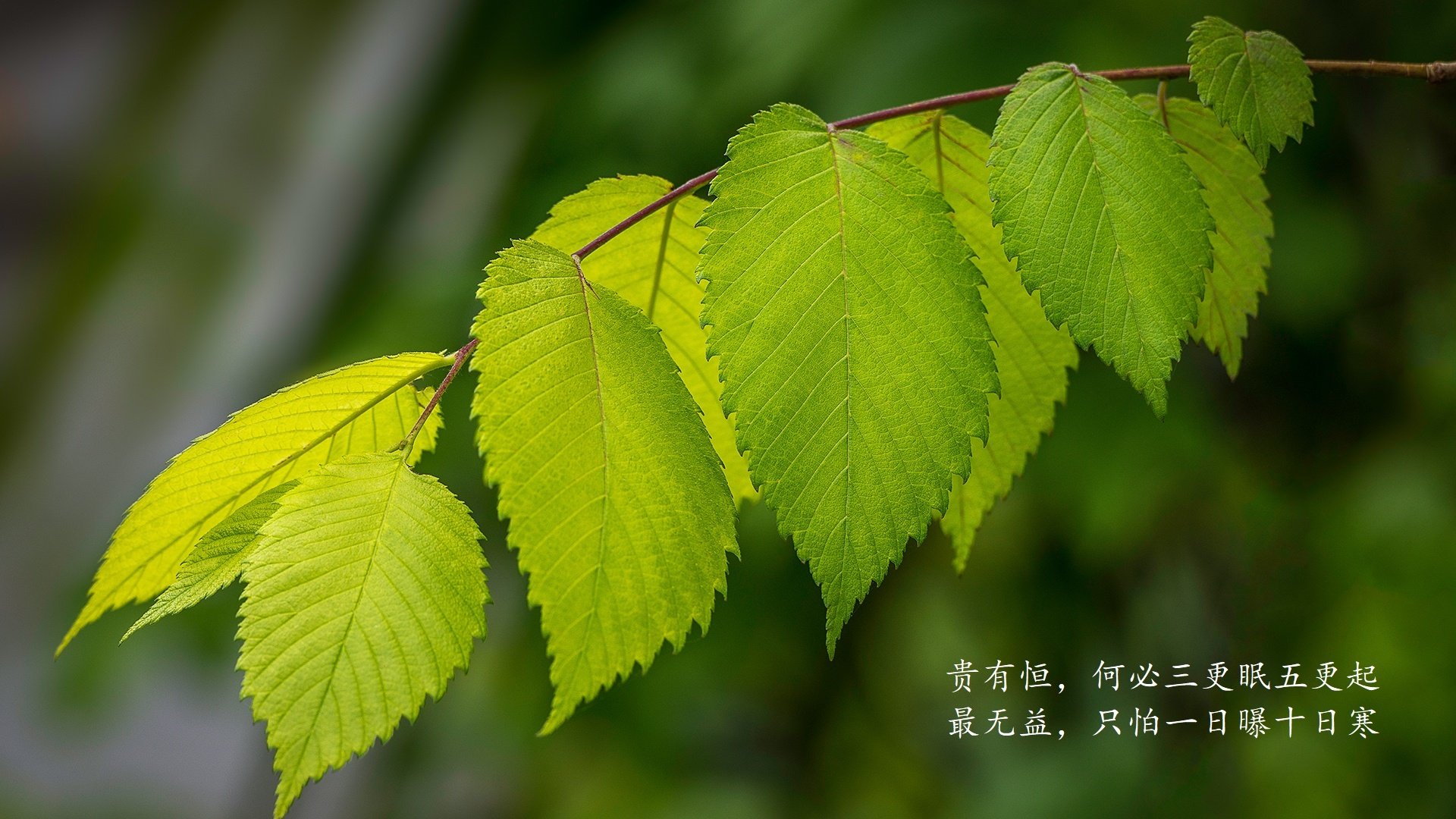 唯一性·热血战纪奇迹在加时绽放，越南绝杀厄瓜多尔，布罗佐维奇奏响绿茵最强音